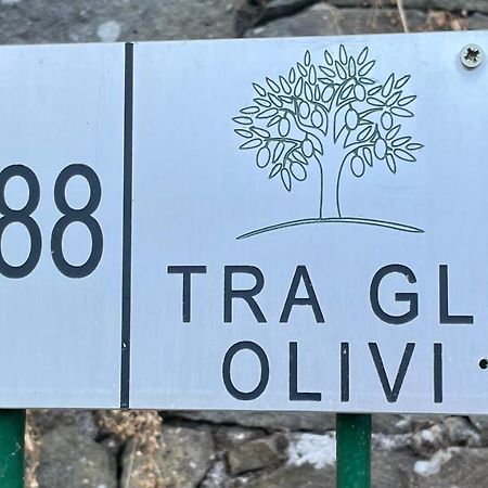 شقة Tra Gli Olivi لوكا المظهر الخارجي الصورة
