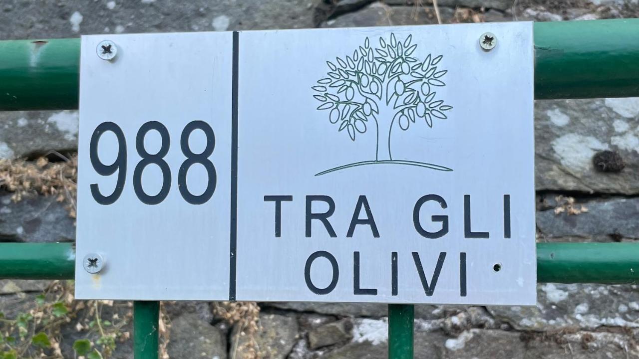 شقة Tra Gli Olivi لوكا المظهر الخارجي الصورة